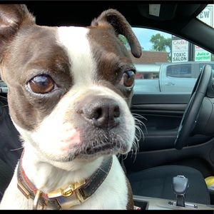 Meet your Posher, Deanna